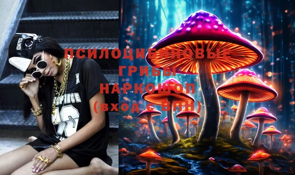 спайс Арсеньев