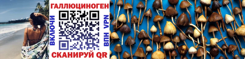 Галлюциногенные грибы мицелий  Чистополь 